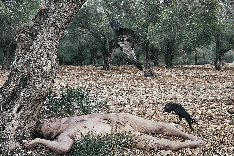 Itamar Freed, Man & Crows in The Olive Grove
2013, Inkjet print on archival paper