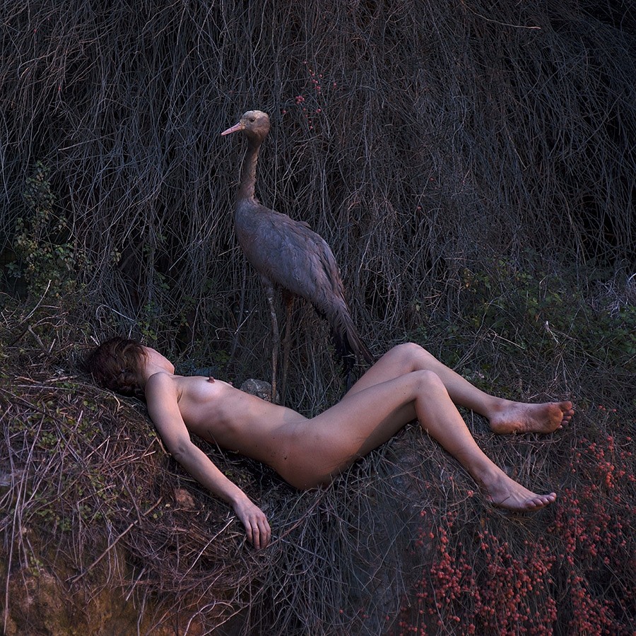 Itamar Freed, Woman & Crane
2014, Inkjet print on archival paper