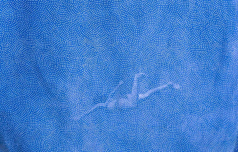 Itamar Freed, Swimmer
2017, Cyanotype on fabric