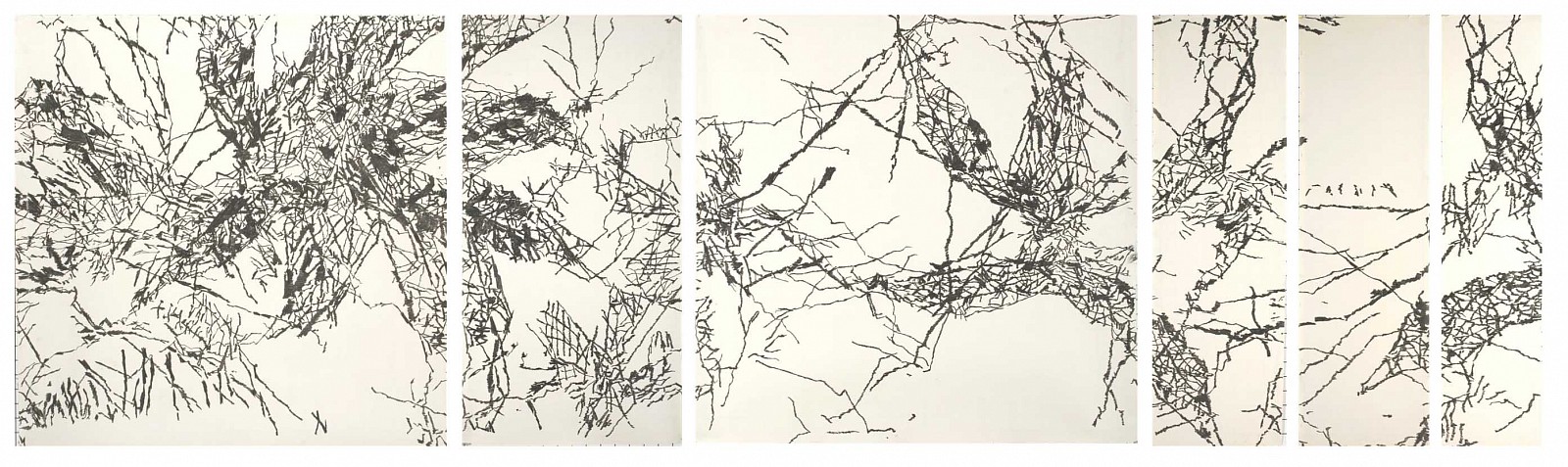 Daniella Sheinman, Untitled
2012, Graphite on paper