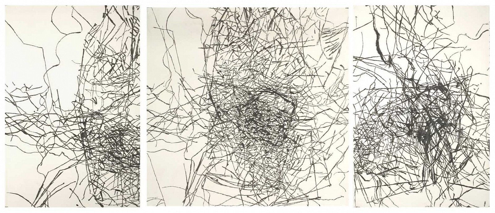 Daniella Sheinman, Untitled
2010, Graphite on paper