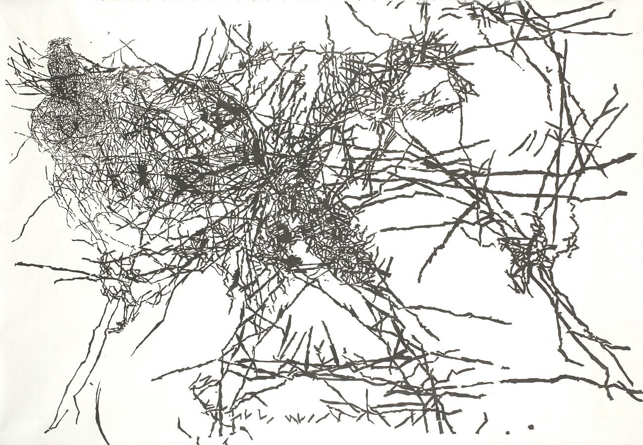 Daniella Sheinman, Untitled
2013, Graphite on canvas