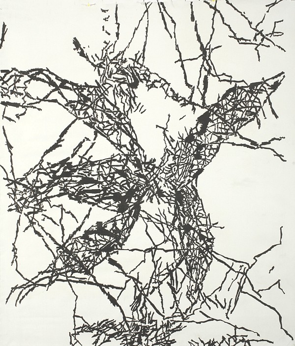 Daniella Sheinman, Untitled
2012, Graphite on canvas