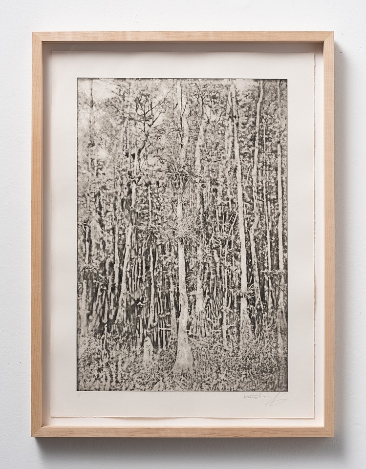 Itamar Freed & Kristina Chan, Cypress Tree III
2019, Etching with chine colle on Zerkyl Natural