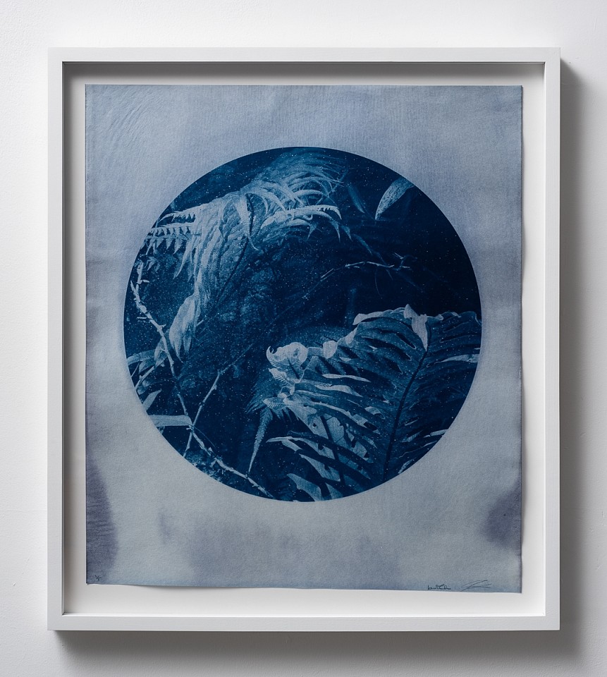 Itamar Freed, Aloe Vera I
2019, Cyanotype on Tosa Wasa handmade Japanese paper