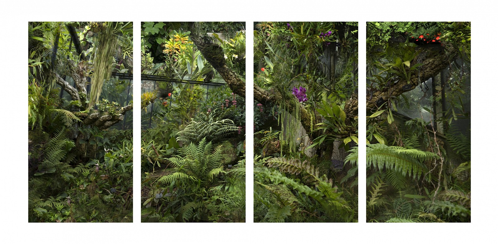 Itamar Freed, Kew Gardens
2020, Inkjet print on archival paper