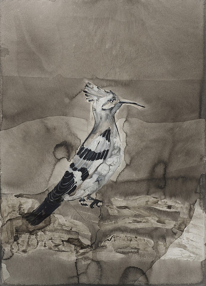 Tamar Roded, Hoopoe
2020, Acrylic on paper