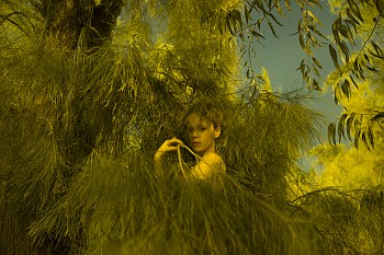 Girl in Pine, 2015, Inkjet print, 110X165cm, Edition of 5 + IIAP