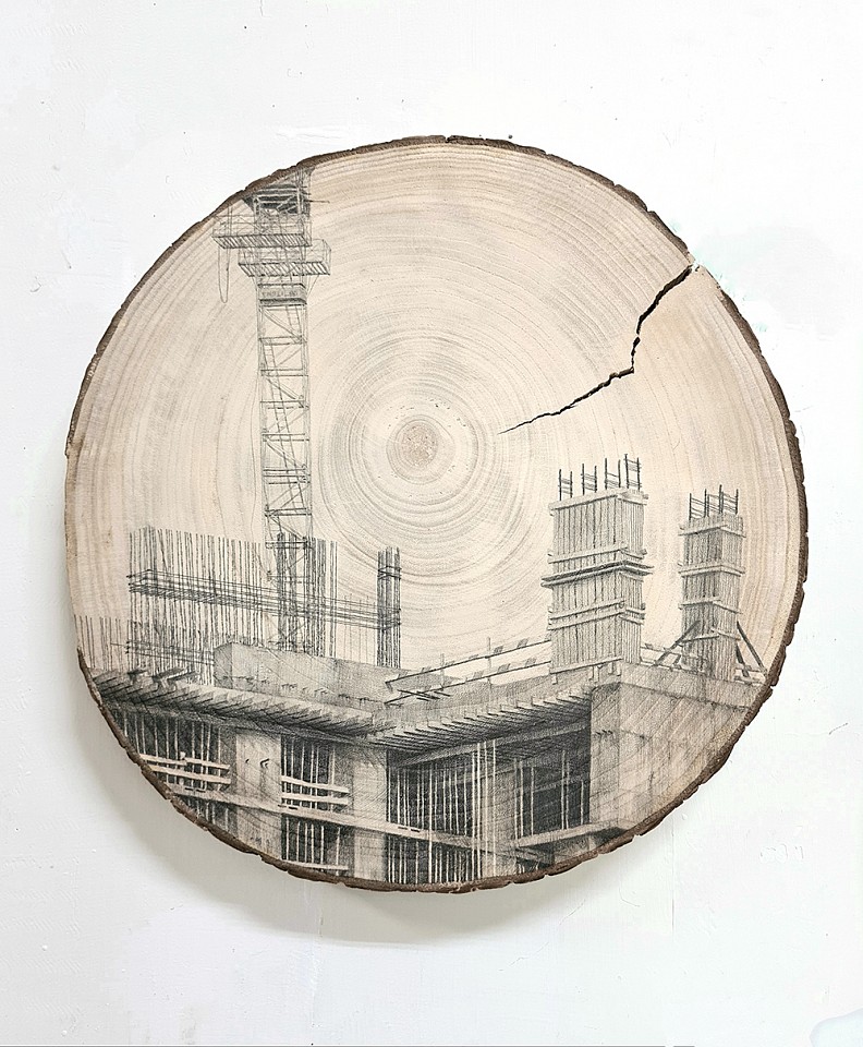 Amir Tomashov, Unrooted no. 2
2021, Graphite on wood