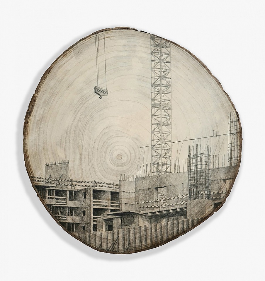 Amir Tomashov, Unrooted no. 3
2021, Graphite on wood