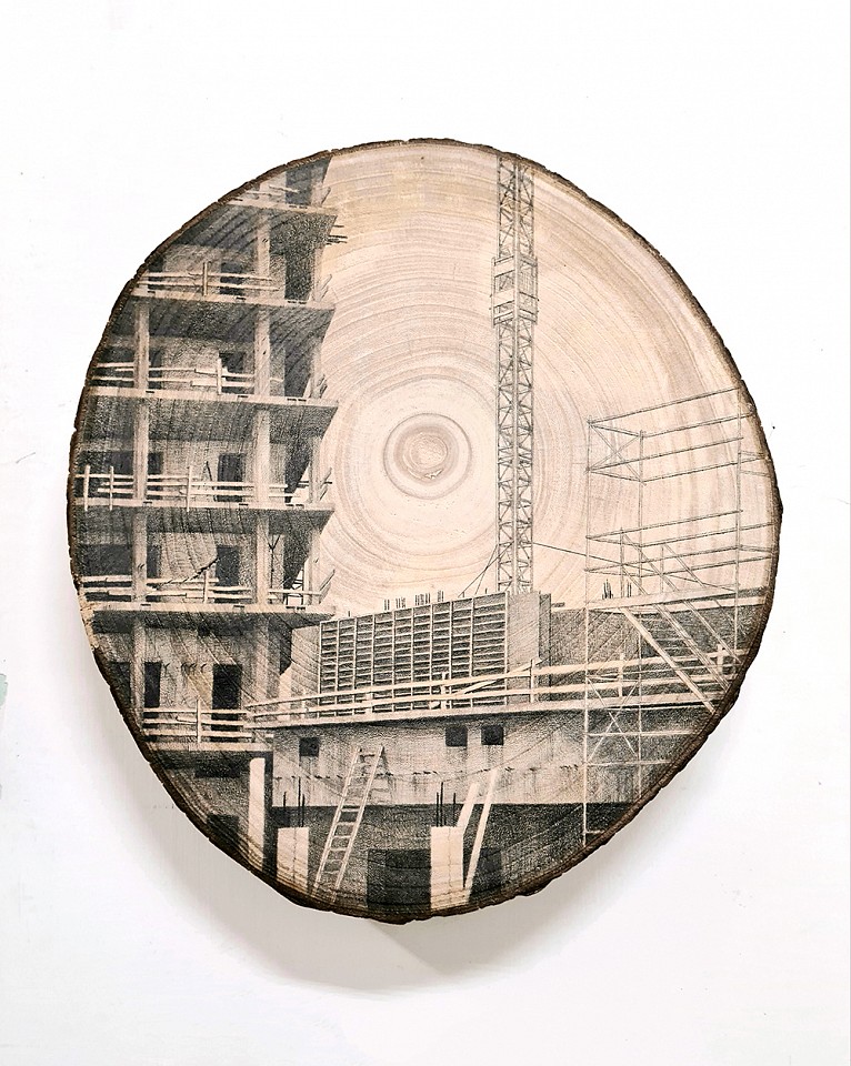 Amir Tomashov, Unrooted no. 1
2021, Graphite on wood