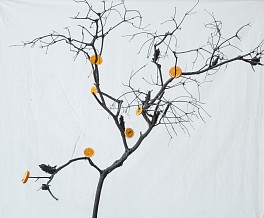 Itamar Freed and Kristina Chan, Orange Tree, 2019, Litvak Contemporary