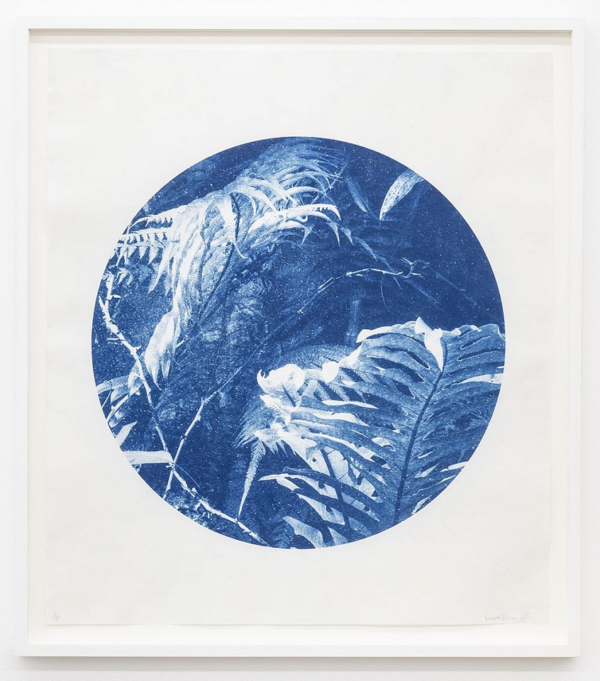 Itamar Freed & Kristina Chan, Aloe Vera I
2019, Cyanotype on Tosa Wasa handmade Japanese paper