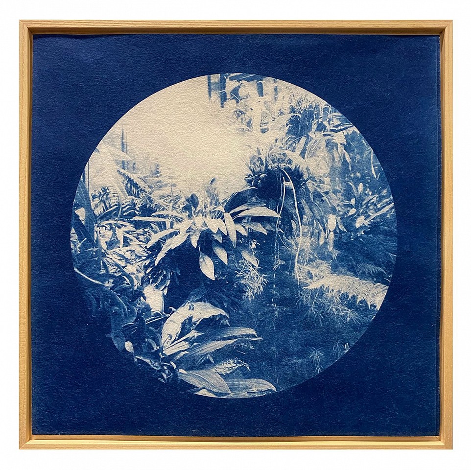 Itamar Freed & Kristina Chan, Pinholes 3
2021, Cyanotype on Tosa Wasa handmade Japanese paper