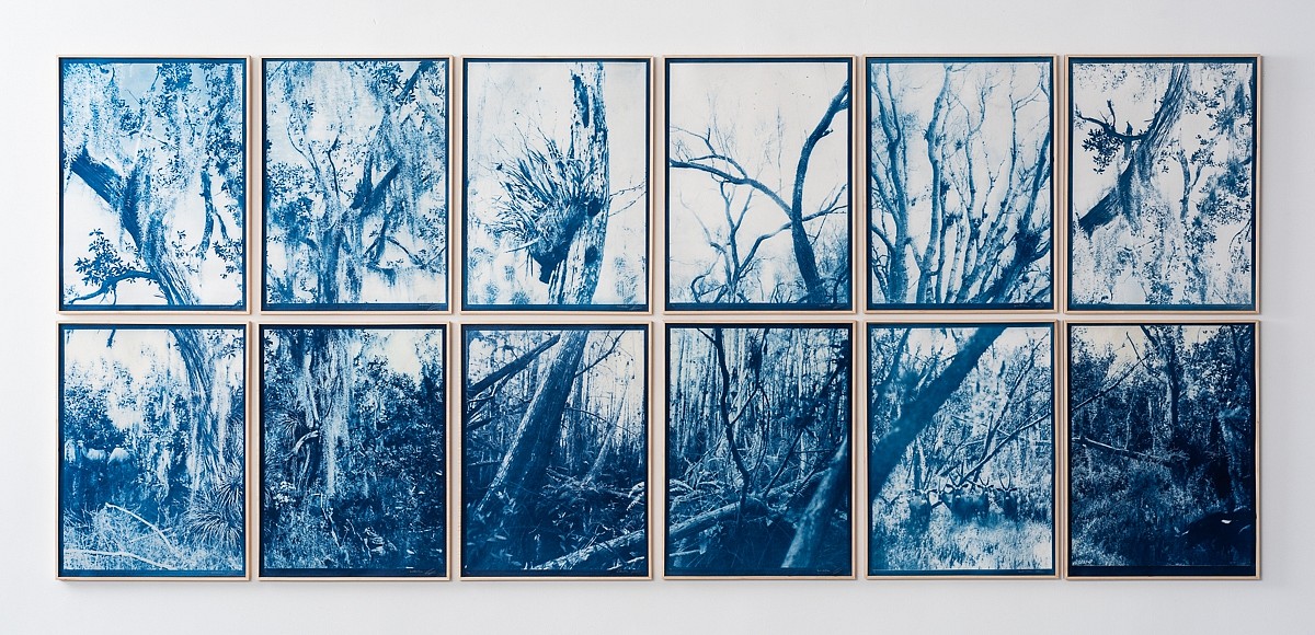 Itamar Freed & Kristina Chan, Dream in Blue
2019, Cyanotype on Tosa Wasa handmade Japanese paper