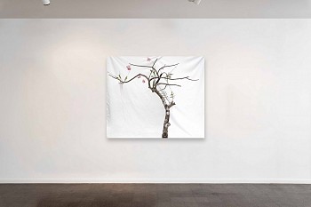 Viewing Room 4 Foundations