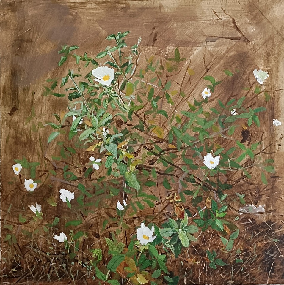 Reuven Zahavi, Flowering
2022, Acrylic on canvas